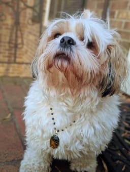 Product thumbnail 15