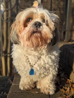 Product thumbnail 14