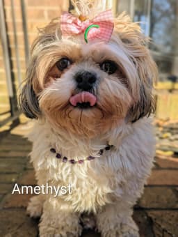 Product thumbnail 13