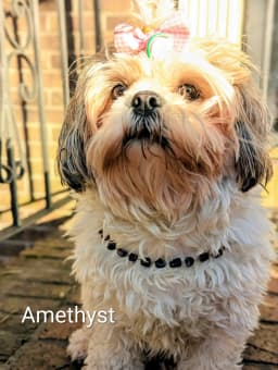 Product thumbnail 12