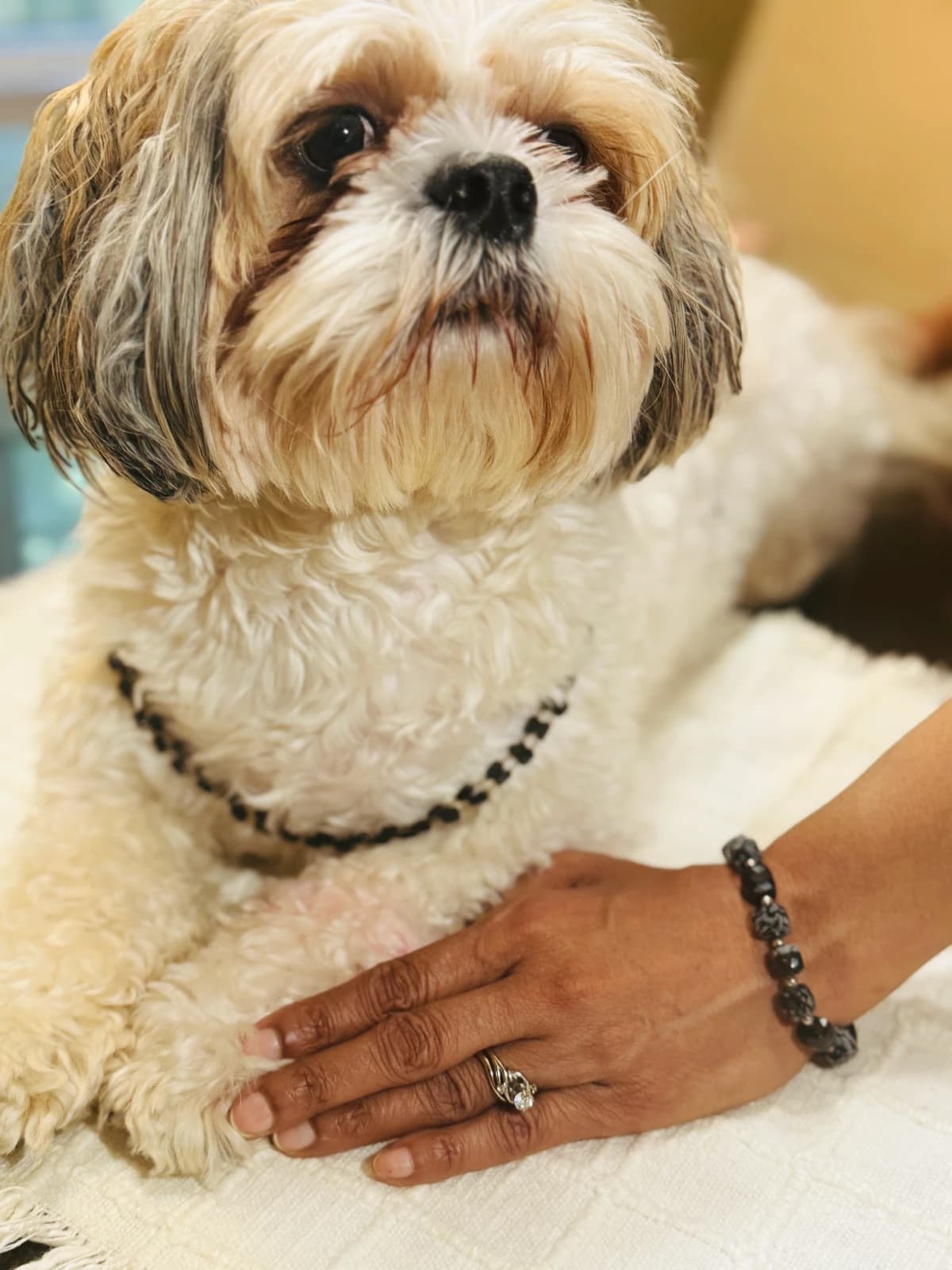 Matching Necklace & Bracelet - For Pet & Mom, Snowflake & Black Onyx