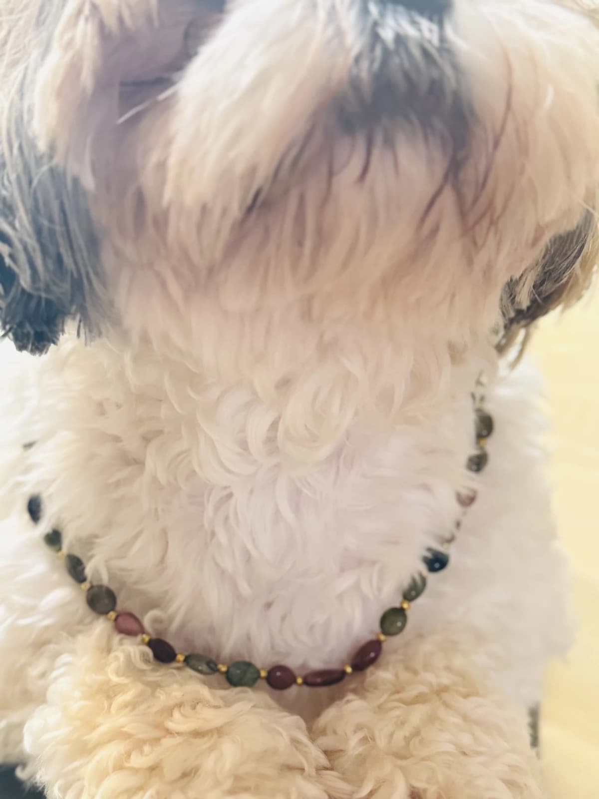 Fur & Mom - 100% Natural Multi Tourmaline | 24k Gold Plated