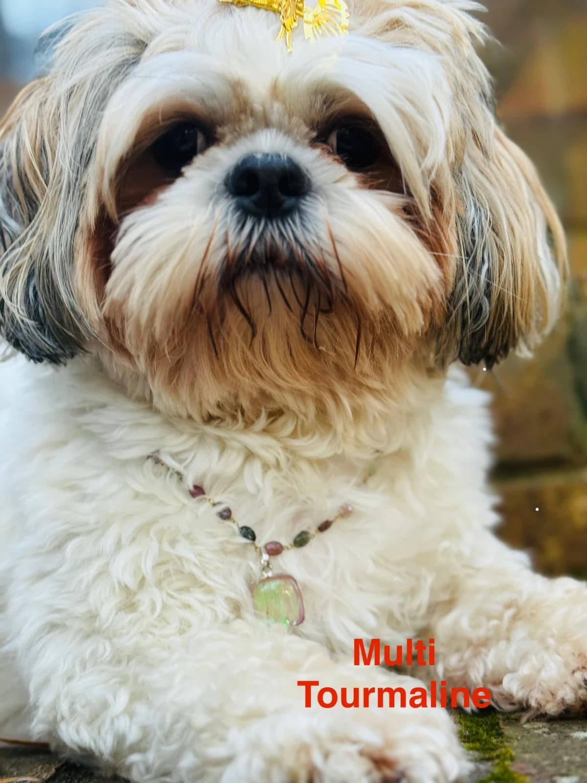 Whisper of Bond - The Calming Natural Pet Necklace | 24k Gold Plated